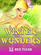 Winter Wonders